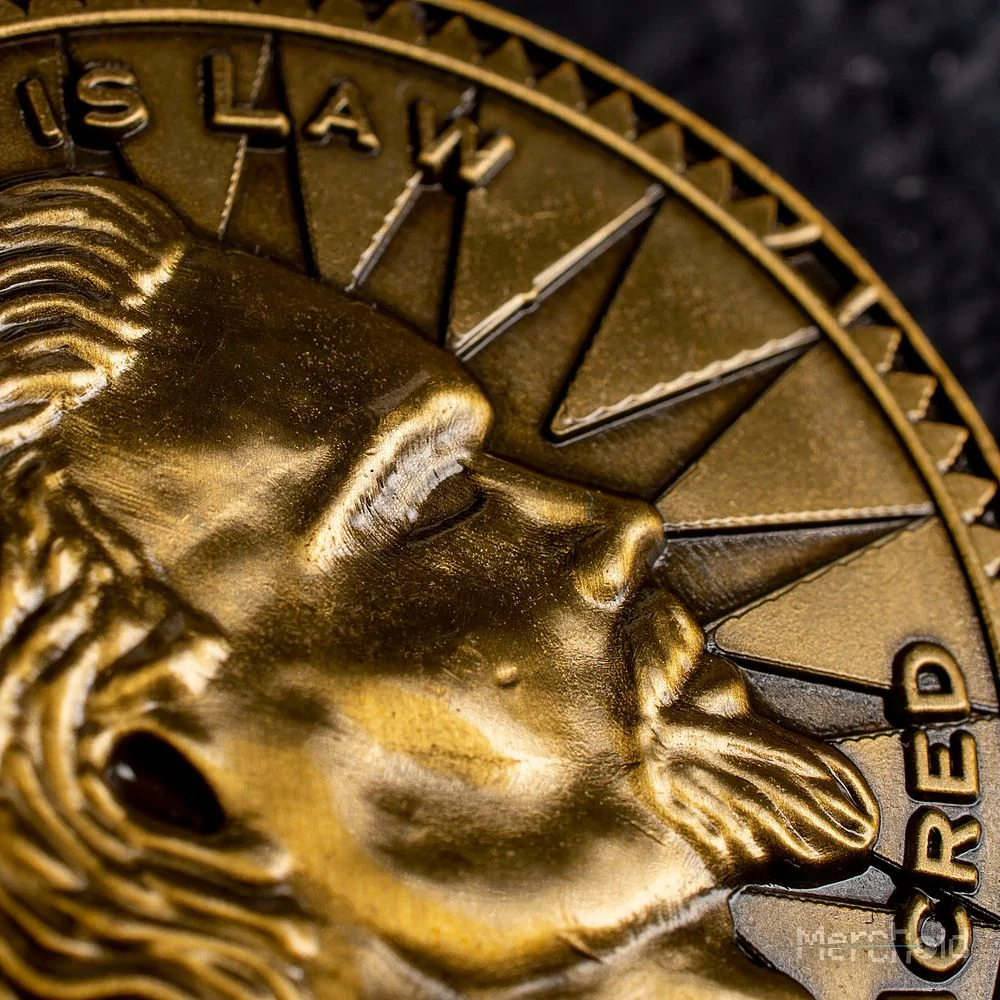 The Elder Scrolls,Skyrim Skyrim Limited Edition Coin - Image 5