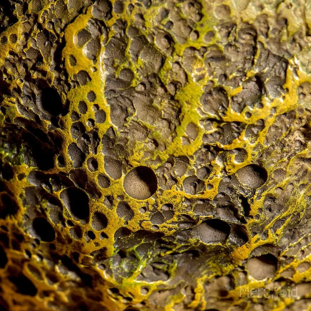 Game Of Thrones The Green One Shall Be... Rhaegal Dragon Egg Prop Replica - Image 7