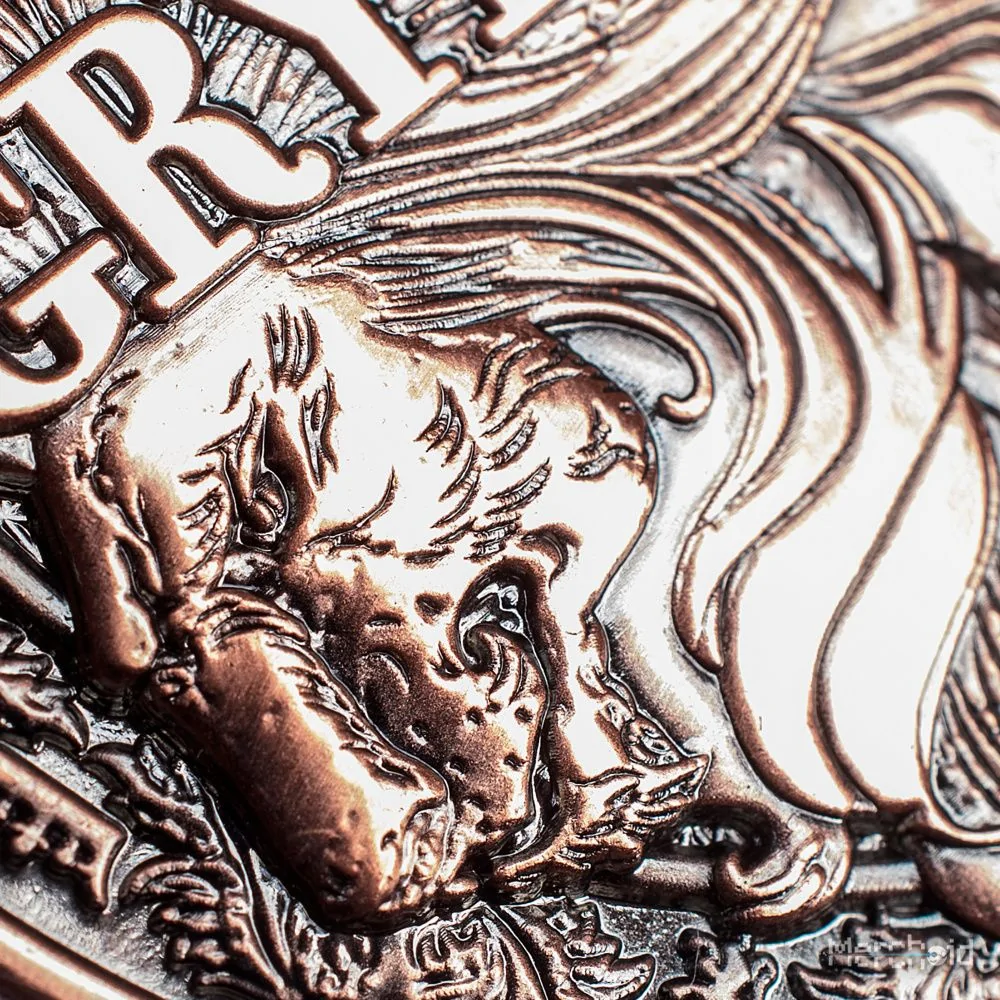 Harry Potter Gryffindor Collectible Jumbo Coin - Image 9