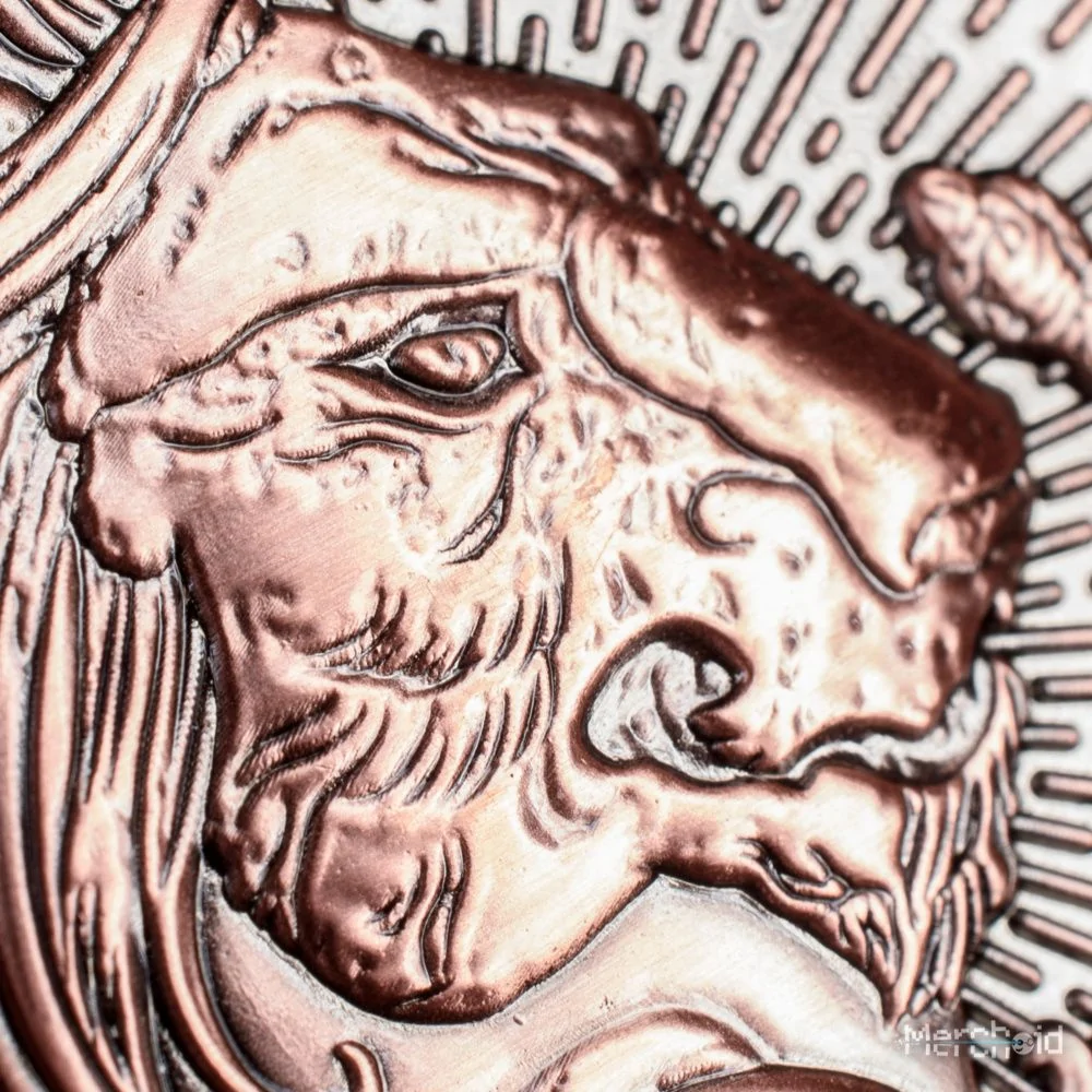 Harry Potter Gryffindor Collectible Jumbo Coin - Image 6