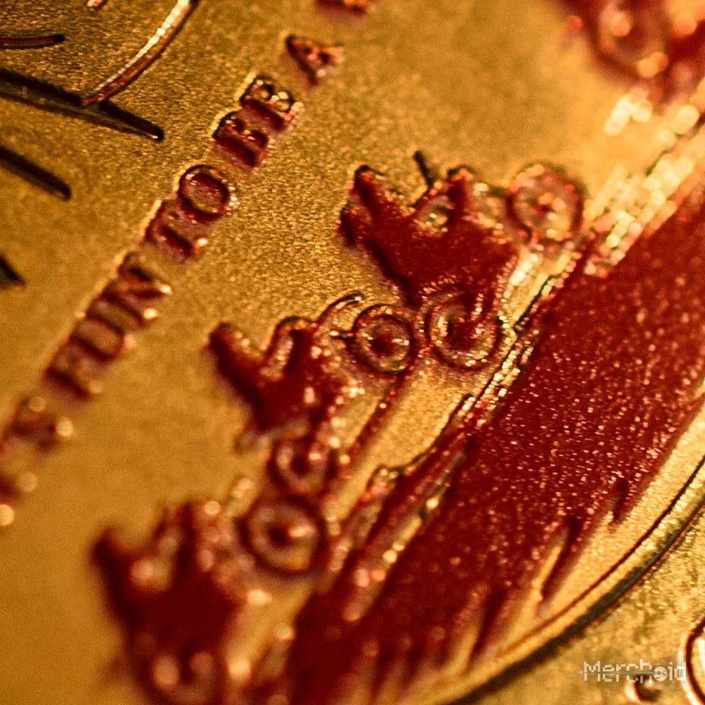 The Lost Boys Collectible Coin - Image 8