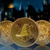 Harry Potter Sorting Hat Collectible Coin