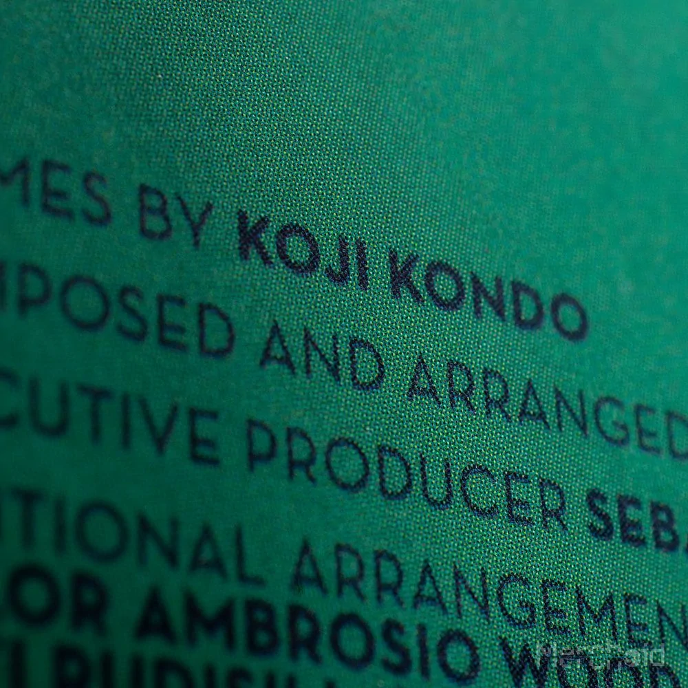 Legend Of Zelda,Nintendo Hero Of Time Vinyl LP Set - Image 7